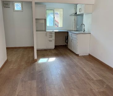 Location Appartement 2 pièces 38m² MEZE 34140 - Photo 2