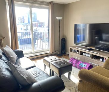 For Lease - 50 Burnside Avenue Unit# 509, West Centre Town, Ontario - Photo 5