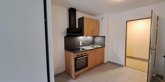 Location Appartement 1 pièce 32m² THONON LES BAINS 74200 - Photo 3
