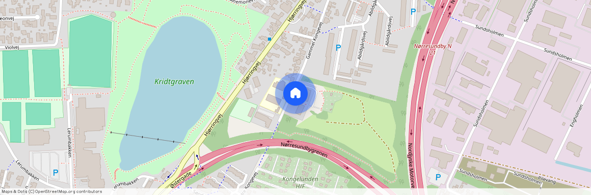 Gammel Kongevej 15, st., 9400 Nørresundby