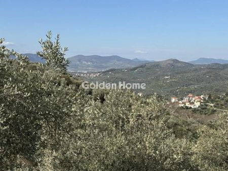 Μονοκατοικία για ενοικίαση Κέντρο (Μηλιές) - Photo 5
