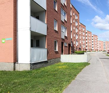 Midälva, Sundsvall, Västernorrland - Foto 3