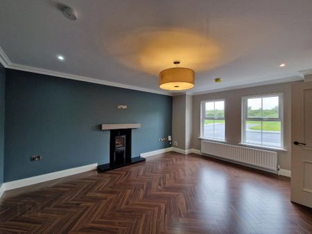 87 Dromliskin Court, Watsons Road, Newry, BT35 7FU - Photo 3