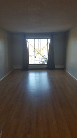 Birchwood Apartments across from Bower Mall - Photo 2