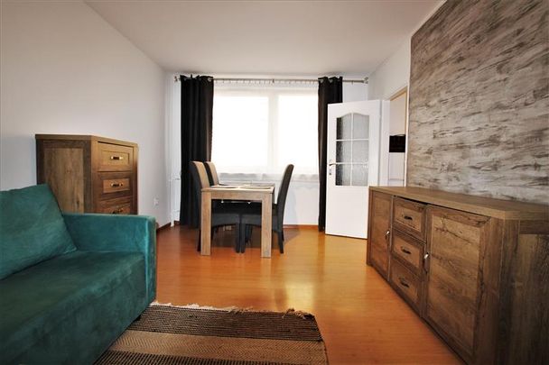 Mieszkanie 1 pokojowe wynajem - Photo 1