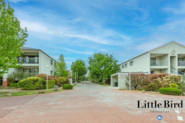 44/23 Aspinall Street, Watson ACT 2602 - Apartment For Rent | Domain - Photo 1