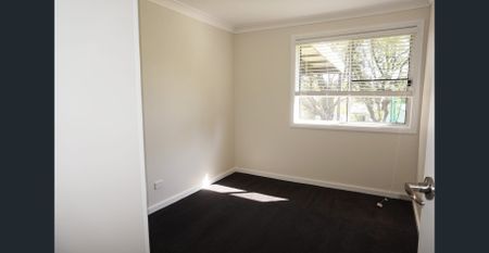 NEWLY RENO'D 3 BED 1 BATH HOME AVAIL 10TH OCT - Photo 2