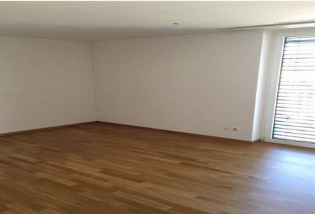 Stadtnah & naturnah - Ihr Rückzugsort in Wetzikon - Photo 4