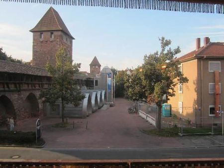 Gemütliche 3-Zimmer-Erdgeschoß-Wohnung im Herzen von Worms - Foto 4