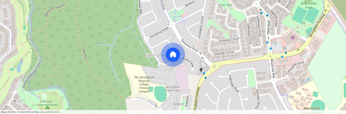 38 Carbeen Circuit, Springfield QLD 4300