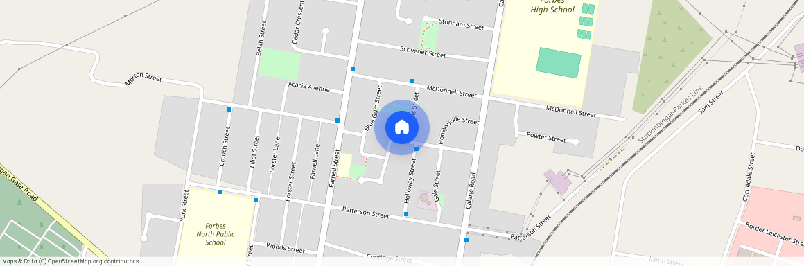15 Brenner Street, NSW 2871, Forbes