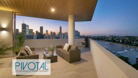 10052/59 O'Connell St, Kangaroo Point, QLD 4169 - Photo 5