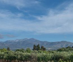 Μονοκατοικία για ενοικίαση - Γεροπόταμος, - Photo 3