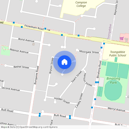 49 Bryson Street, Toongabbie NSW 2146