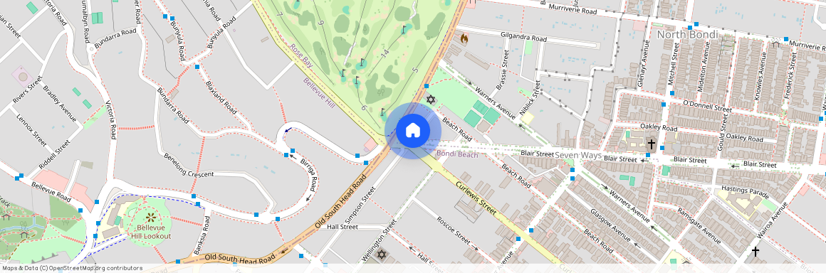 6 Curlewis Street, Sydney, New South Wales 2026