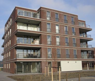 Egmondland 130, Den Hoorn - Photo 2