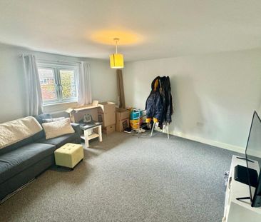 Bull Close - Photo 4