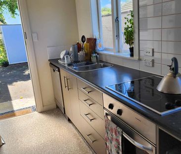 Belmont Cutie!!! - Photo 5