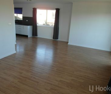 Spacious 2 Bedroom Unit - Photo 4