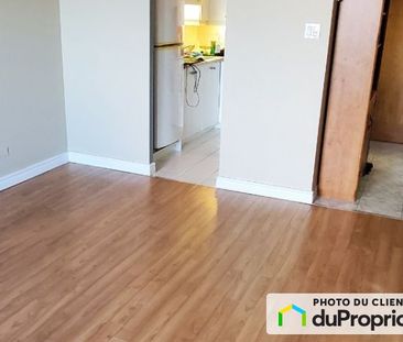602-3535, Papineau, Mont-Royal à louer - Photo 6