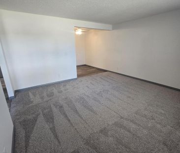 Beautifully Renovated Ground Floor One Bedroom on South Hill - Photo 4
