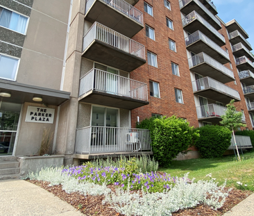 7-15 Parker Street - Photo 5