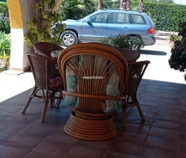 Villa in Crevillente, for rent - Photo 5