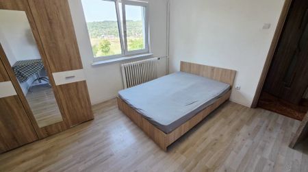 Apartament de inchiriat, 2 camere, decomandat, 40 mp, Alexandru cel Bun, Liceul Miron Costin, Cod 163070 - Fotografie 5