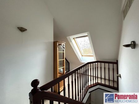 Jasne Błonia, ul. Monte Cassino - Zdjęcie 5