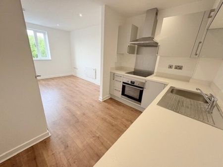 Newhall Place, Cannock, WS11, Property for rent - Photo 3