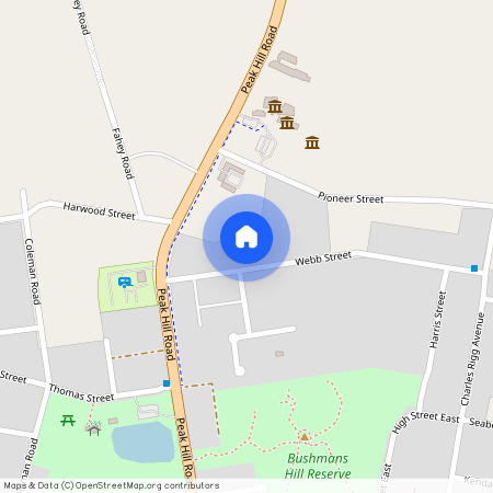 6 Webb Street, NSW 2870, Parkes