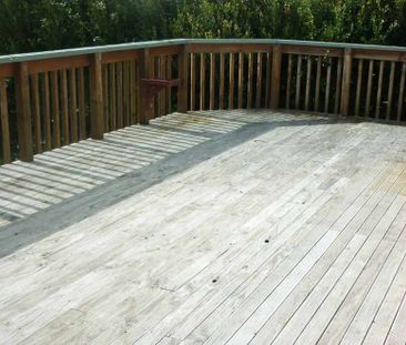 Sunny Elevated Home - Photo 5