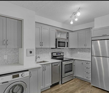 For Lease - 2464 Weston Road Unit# 508, Toronto, Ontario - Photo 3