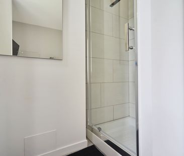 OUDINOT P Roommate 3 Bedrooms at Nancy - Photo 4
