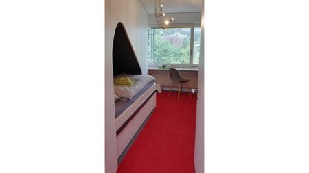 3½ Zimmer-Wohnung in Hinwil (ZH), möbliert, auf Zeit - Photo 5