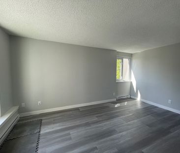 Updated and Bright Corner Unit Two Bedroom in Convenient Lougheed Area - Photo 6