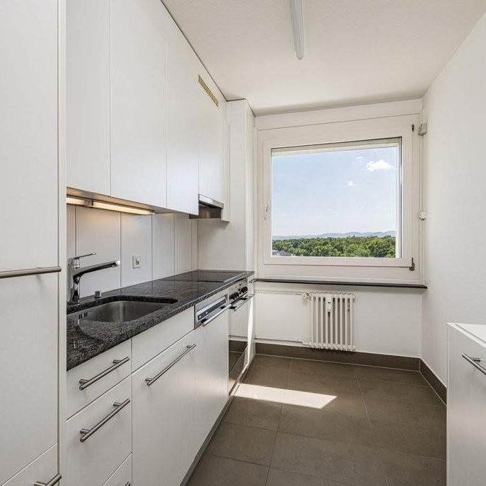 Gemütliche Wohnung in Birsfelden gesucht? - Photo 1