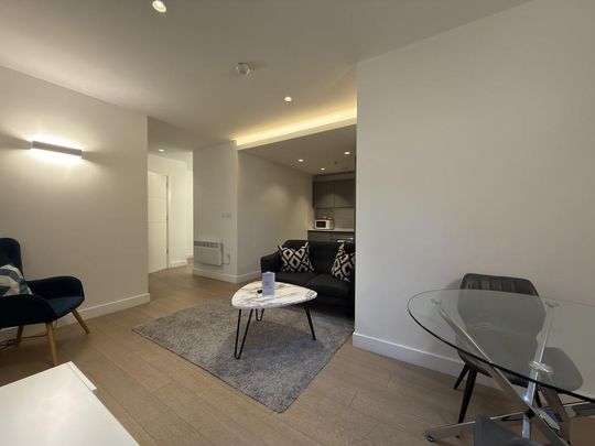 1 bedroom ground floor flat to rent - Photo 1