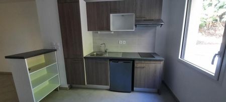 CASTANET TOLOSAN / Location Appartement 2 Pièces 44 m² - Photo 5