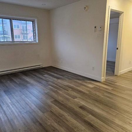 1 CH - 1 SDB - Montréal - $1,345 /mo - Photo 4