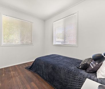 Freshly Renovated Home with Large Yard, Side Access & Mango Tree Qu... - Photo 4