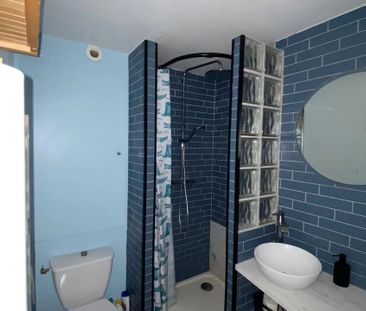 Location Appartement 1 pièces 31 m2 à Montpellier - Photo 1