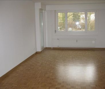 "Greifensee zum Greifen nahe!" - Photo 3