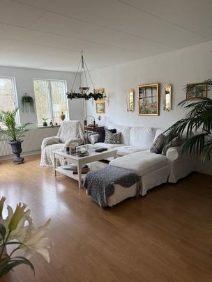 Höstgatan 25 - Photo 1