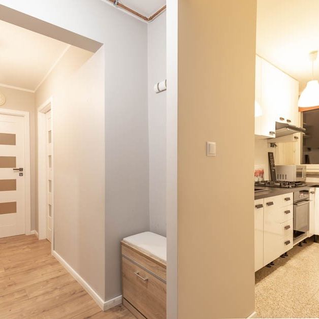 Do wynajęcia 3 pokoje w centrum Zielonej Góry! - Zdjęcie 1