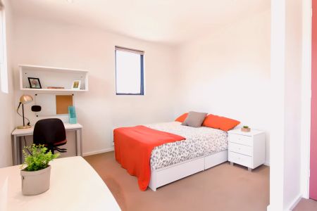 Large Studio - Photo 4