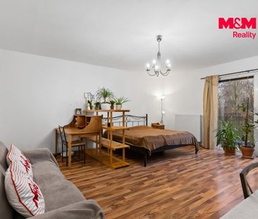 Pronájem, Byt 1+kk, 46 m², Liberec, Kašmírová - Photo 4