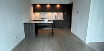 Metrotown 1 Bed + 1 Bath. New Building - Photo 2