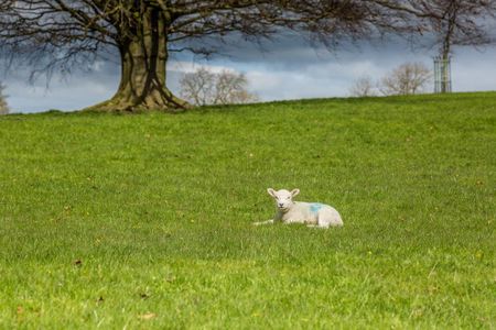 1 bedroom serviced apartment to rent - Photo 5