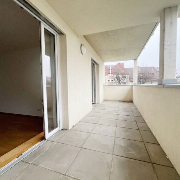 EINMALIGE 2-3 Zimmer Wohnung! Auch als WG geeignet! Großzügiger WESTBALKON! Ab sofort verfügbar! Haustiere erlaubt! - Photo 1